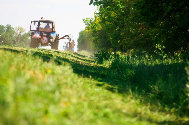 Roadside Mowing